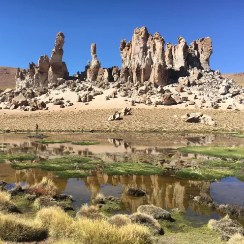 Beaute du desert